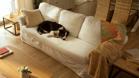 Câmera com análise inteligente