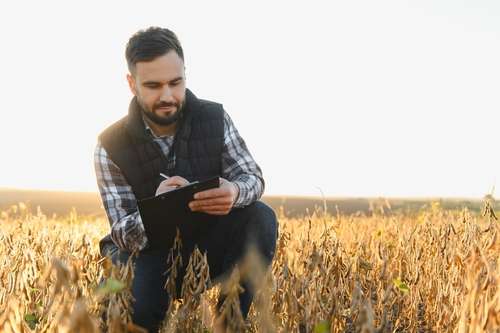 Câmera de segurança para zona rural